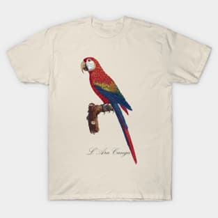 Scarlet Macaw Parrot / L' Ara Canga - Jacques Barraband 19th century Illustration T-Shirt